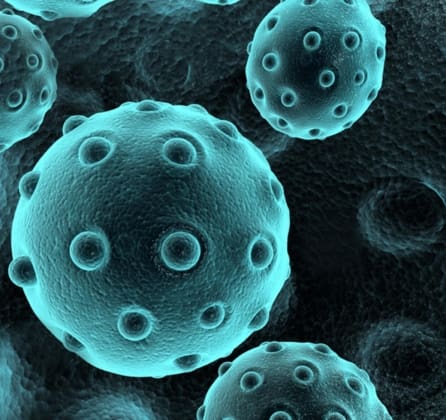 What are Exosomes and how can we benefit from them?